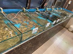 -渡海小渔村.老辈日照菜