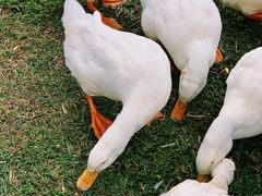 -Club Med地中海俱乐部·桂林度假村