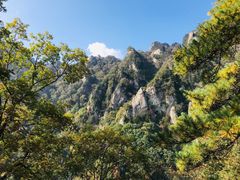 -王顺山国家森林公园