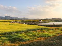 -光明小镇欢乐田园