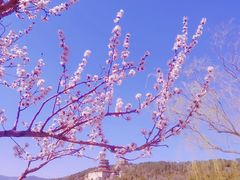 -颐和园
