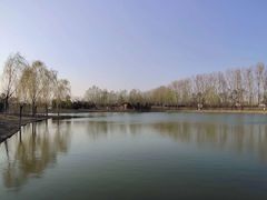 -东郊湿地公园