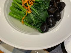 泉水木耳浸有机菜心-广州文华东方酒店·江-由辉师傅主理
