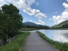 -大九湖