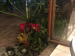 -花间茶(华侨城创意园店)