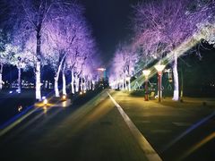 -眉山湿地公园(东坡区)