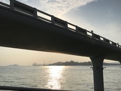 -演武大桥观景平台