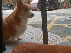 -小梁哥云吞面(黄贝岭店)