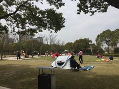 -新江湾城公园