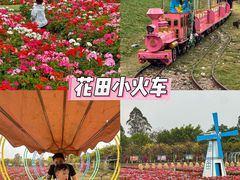 -盈香心动乐园