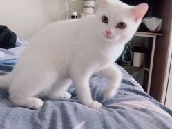 -LJOY丽锦造型·烫发染发