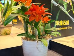 -北京植物园-展览温室