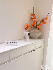 -安那般那皮肤年轻化ANAPANA