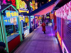 -鸿恩陶然大观园