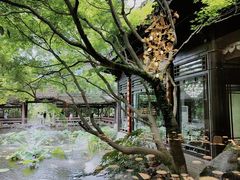 -乾园.魏庐湖景餐厅(花港店)