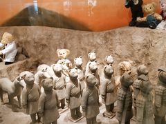 -济州岛泰迪熊博物馆