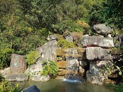 -广州神农草堂中医药博物馆