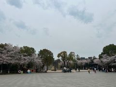 -淹城春秋乐园