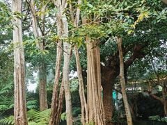 -Chom Cafe and Restaurant