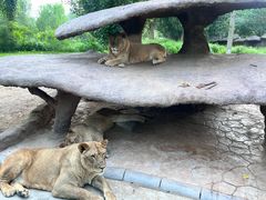 -北京野生动物园