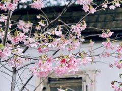 -乌山风景区