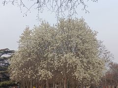 -睦南公园