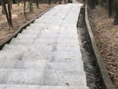 -火炉山森林公园