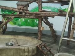 -柳州市动物园