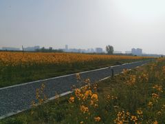 -汉长安城未央宫国家考古遗址公园