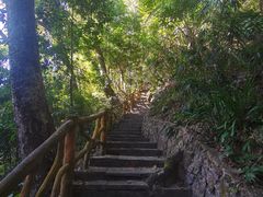 -海南热带雨林国家公园吊罗山景区