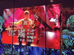 -纯K(打浦桥店)