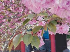 -石岛赤山风景区