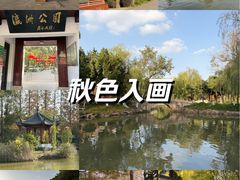 -瀛洲公园
