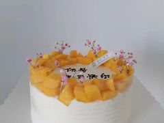 -今日·TODAY手作低脂动物奶油蛋糕定制(高新万达店)