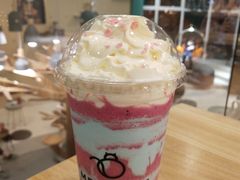 -飞行喵MR PILOT|猫舍·猫咖(静安大融城店)