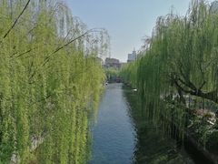 -阿拉木汗餐厅(山大路店)