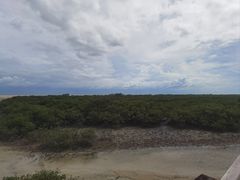 -北海金海湾红树林生态旅游区