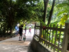 -广东惠东海龟国家级自然保护区