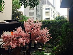 -徐家汇源景区-衡山坊