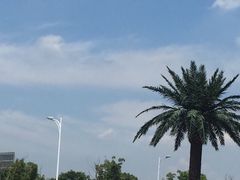 iphone_upload_pic-上海玛雅海滩水公园