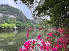 -星湖旅游景区七星岩