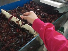 -顺鑫石门市场