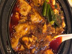 -陈麻婆豆腐总店