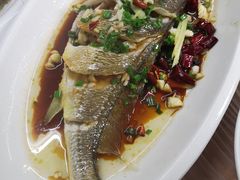 特色大黄鱼-阿杰臻选海鲜饭店(普陀山店)