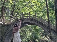 -洛阳白云山景区