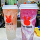 我宣布！这杯酸奶啵啵正式成为我的续命神药！