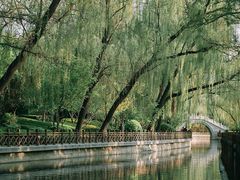-迎泽公园