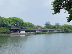 -月湖公园