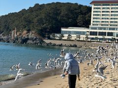 -海云台海滩