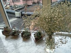 -蝶舍·MAISON PAPILLON